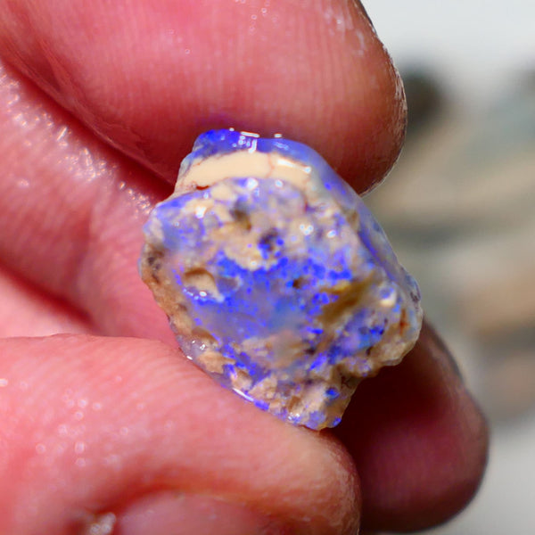 Lightning Ridge Rough Opal 6cts Crystal Seam formation showing lots of blues 15x12x6mm 1405