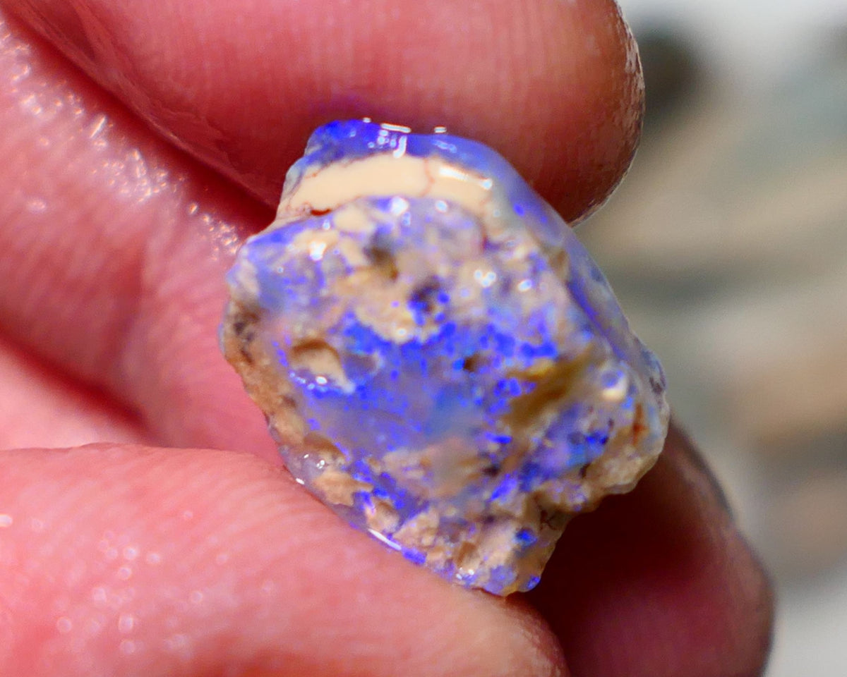 Lightning Ridge Rough Opal 6cts Crystal Seam formation showing lots of blues 15x12x6mm 1405