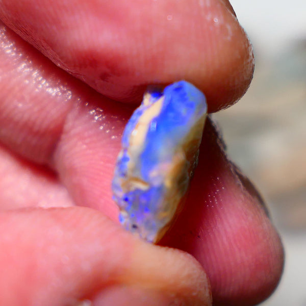 Lightning Ridge Rough Opal 6cts Crystal Seam formation showing lots of blues 15x12x6mm 1405