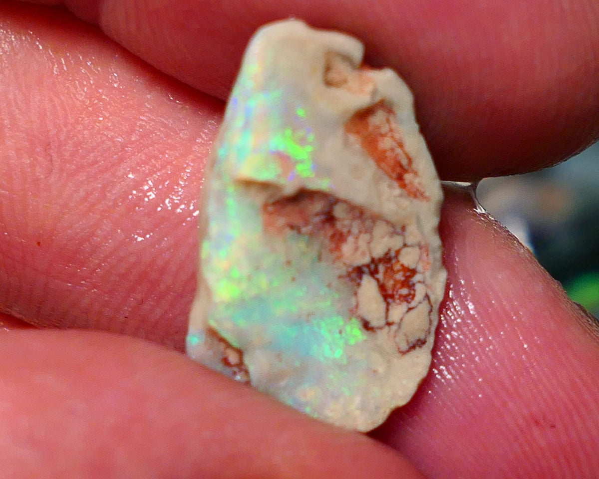 Lightning Ridge Rough Rub Opal 6.00cts Dark knobby showing Bright Yellow dominant Multifires 20x12x5mm 1324