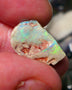 Lightning Ridge Rough Rub Opal 6.00cts Dark knobby showing Bright Yellow dominant Multifires 20x12x5mm 1324