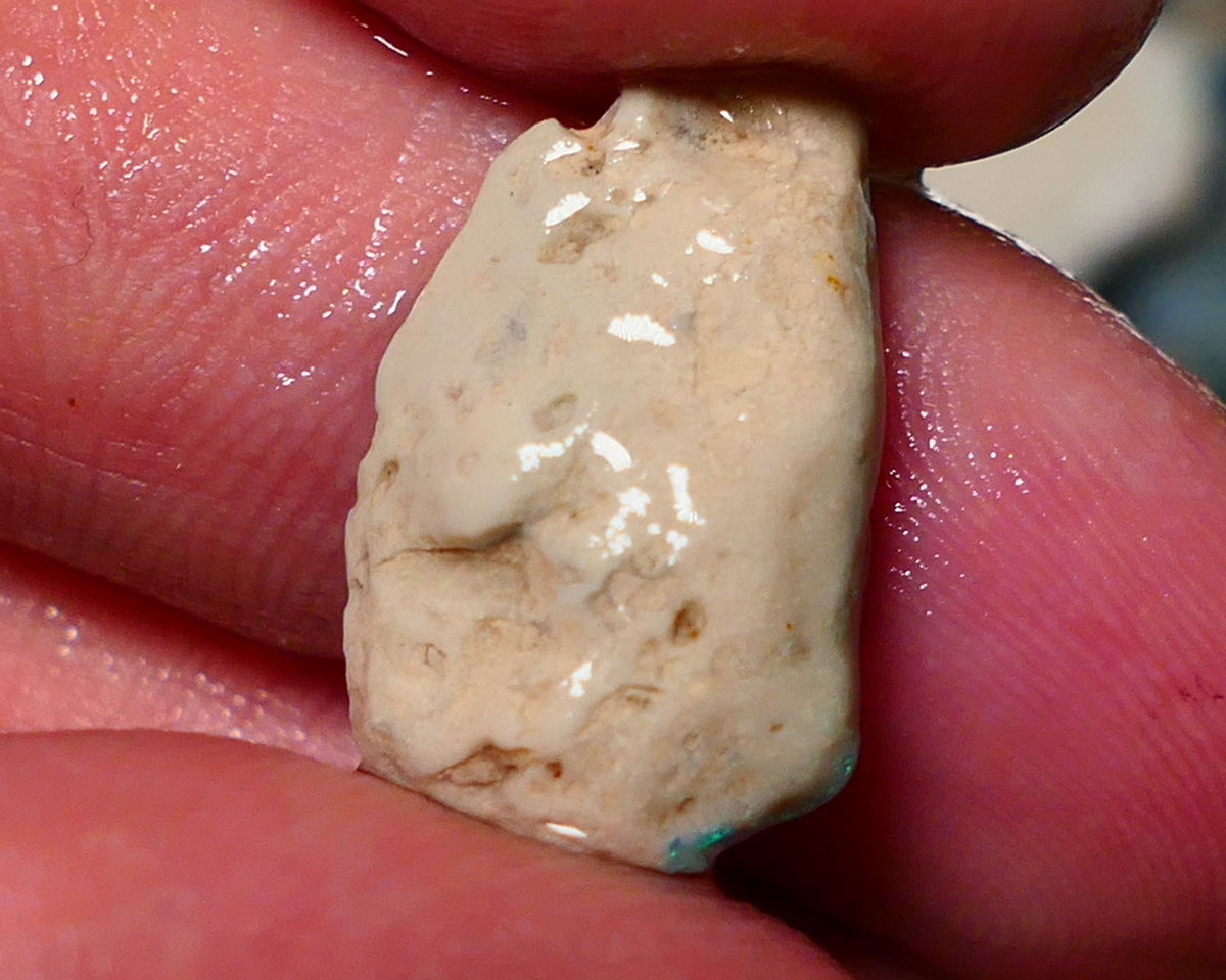 Lightning Ridge Rough Rub Opal 6.00cts Dark knobby showing Bright Yellow dominant Multifires 20x12x5mm 1324