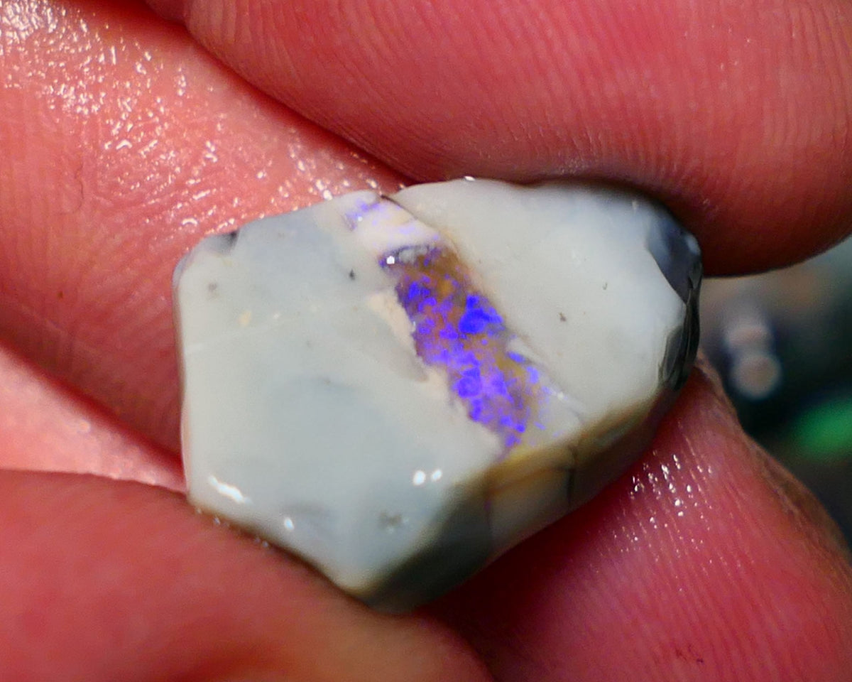 Lightning Ridge Rough Opal 12.25cts Grey base Seam opal showing a band of blue colour 20x14x6mm 1403