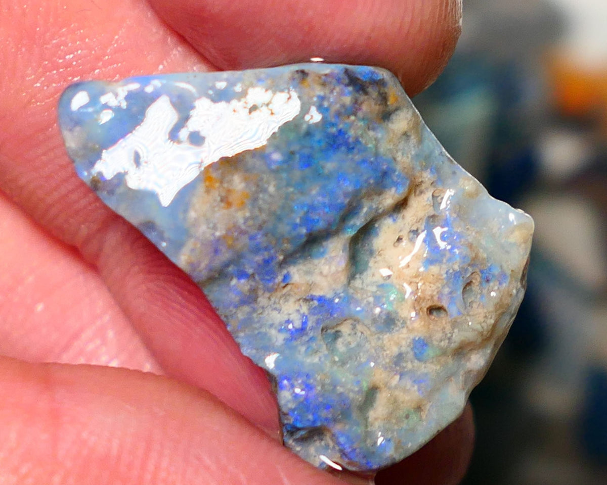 Lightning Ridge Rough Opal 18cts Dark Seam opal formation showing lots of light blues 27x19x7mm 1402