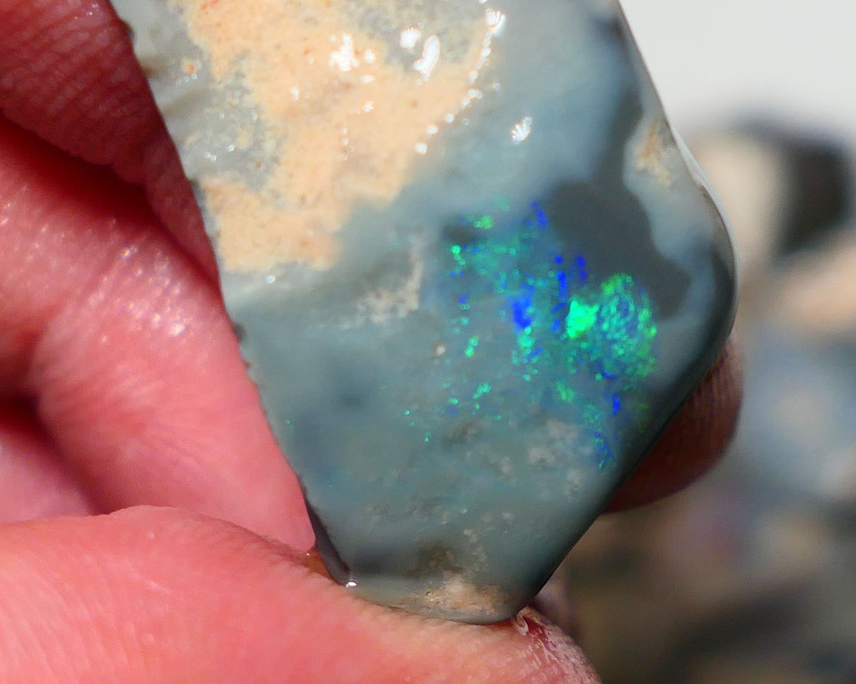 Lightning Ridge Rough Rub Opal 23cts Dark Seam showing Gorgeous zone of bright vibrant fires 31x18x7.5mm 1323