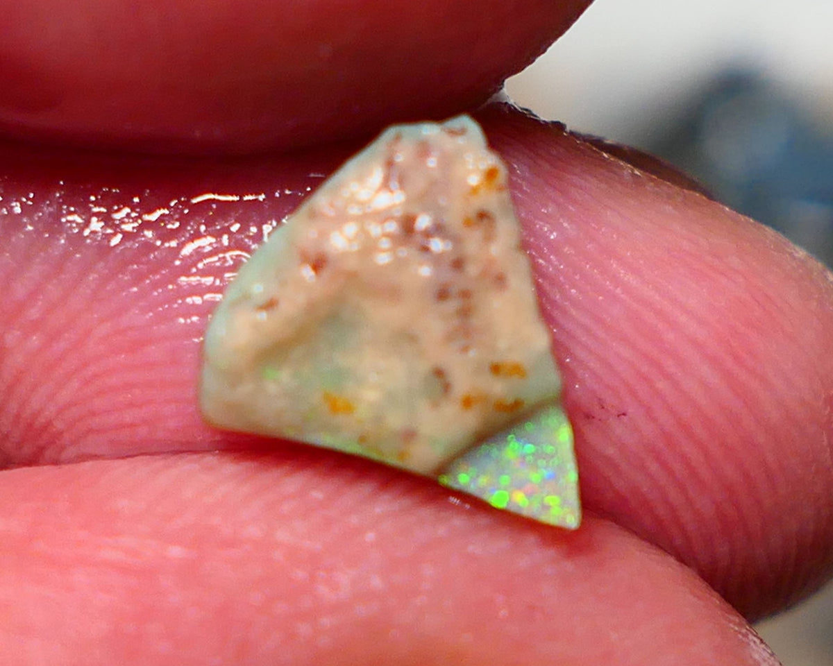 Lightning Ridge Rough Opal 1.75cts Little Seam Gamble Very Bright multicolours 10x8x4mm 1410