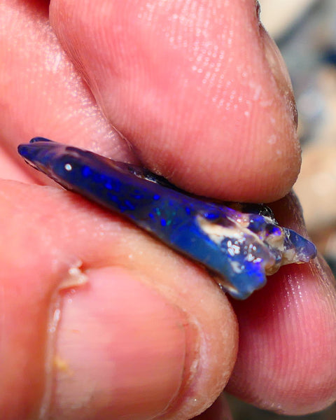 Lightning Ridge Rough Opal 12cts Black Seam formation showing lots nice Blues 20x18x11mm 1344