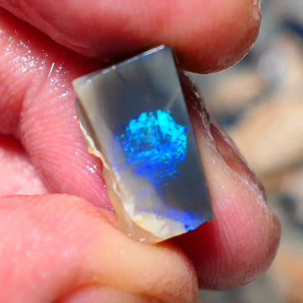 Lightning Ridge Opal Dark Base Seam Rough / Slice / Rub 9.15cts Bright Blue Green & Teal fires gorgeous pattern  15x9x8mm 1342