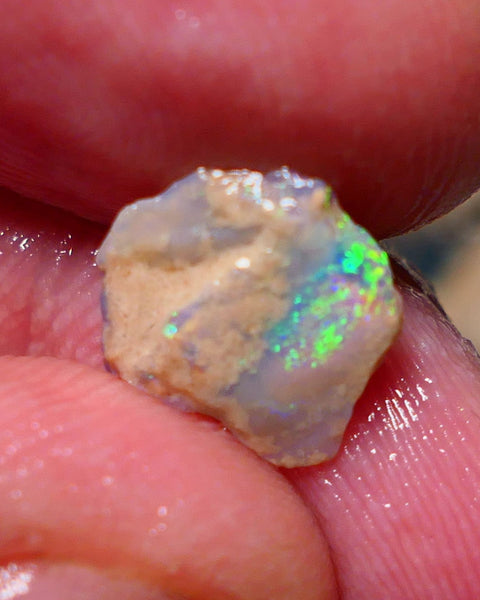 Lightning Ridge Rough Opal 1.45cts Small Crystal knobby formation showing some bright multicolour 11x10x2.5mm 1409