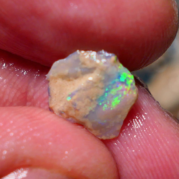 Lightning Ridge Rough Opal 1.45cts Small Crystal knobby formation showing some bright multicolour 11x10x2.5mm 1409