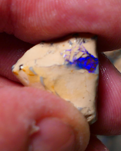 Lightning Ridge Rough Opal 14.75cts Formation showing Very gorgeous Blues on black 19x18x12mm 1337