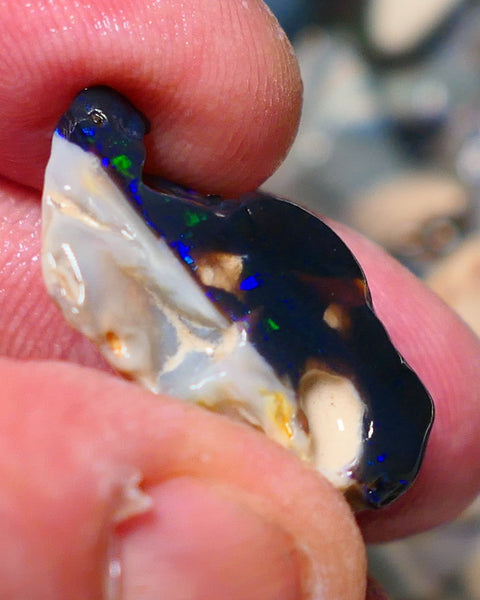 Lightning Ridge Rough Opal 19cts Black base Seam showing Green and blue fires 28x17x11mm 1338