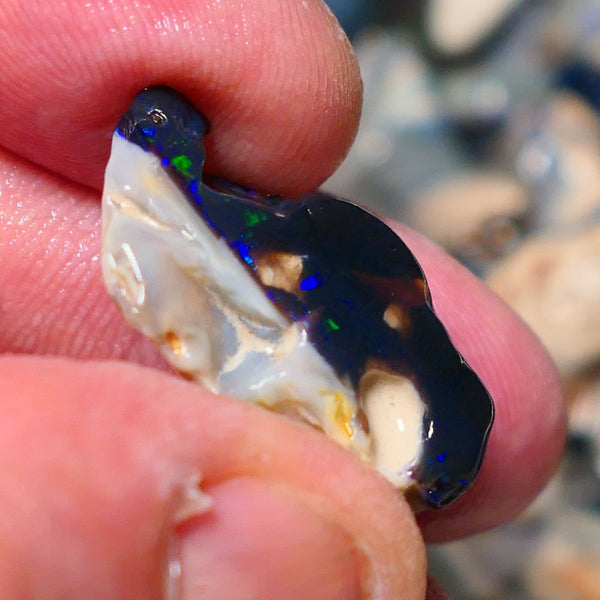 Lightning Ridge Rough Opal 19cts Black base Seam showing Green and blue fires 28x17x11mm 1338