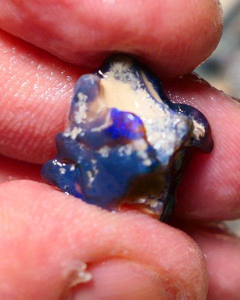 Lightning Ridge Rough Opal 8.50cts Black knobby formation showing some nice Blues 20x18x11mm 1343