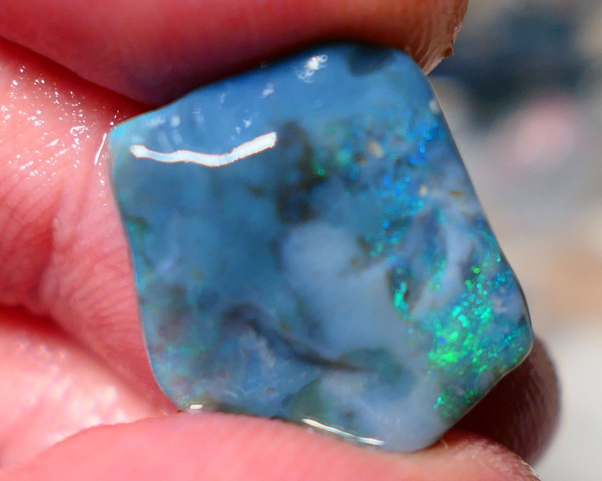 Mulga Rough Opal Gamble 11.35cts Dark Base Seam Green Dominant fires to Cut / carve & polish 18x16x6mm Auction NS140