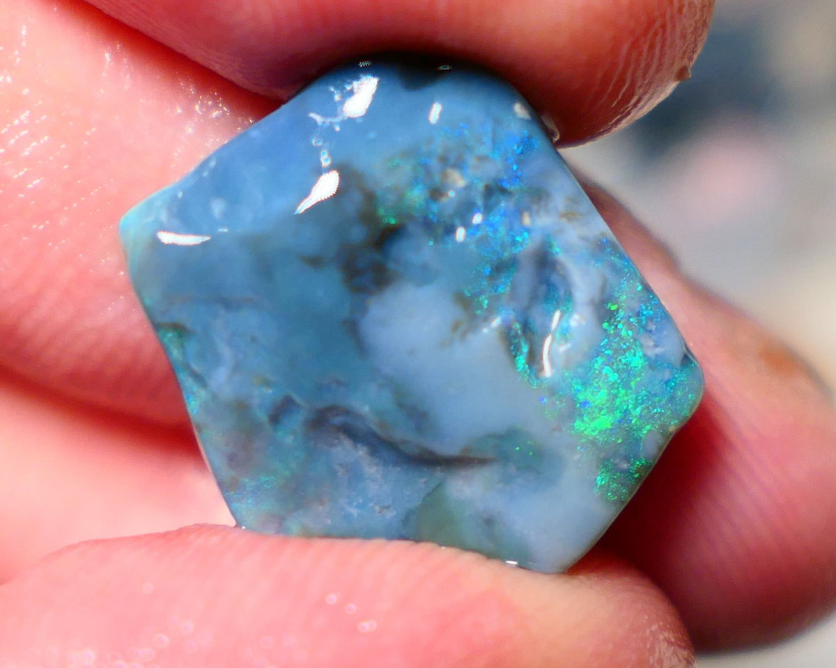 Mulga Rough Opal Gamble 11.35cts Dark Base Seam Green Dominant fires to Cut / carve & polish 18x16x6mm Auction NS140