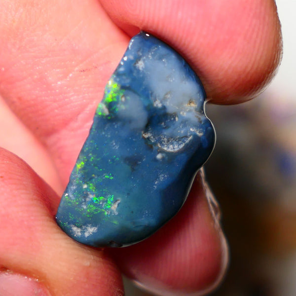 Lightning Ridge Rough Opal 12cts Dark  Half Knobby showing some Bright Yellow Blue Green 24x12x7mm A1515