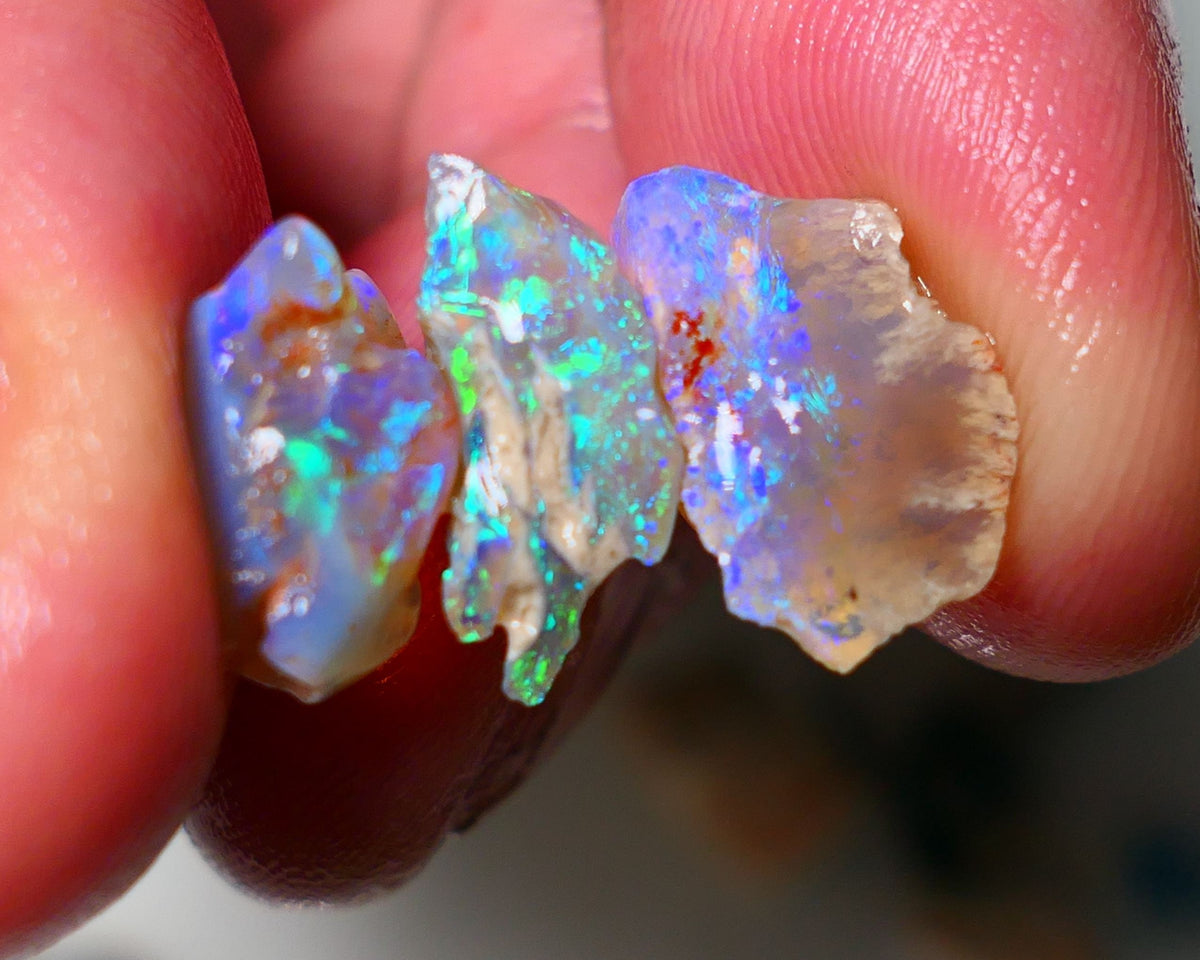 Lightning Ridge Rough Opal 12.50cts small Crystal Seam pieces showing nice Bright Multi colours 16x9x8mm 12x9x6mm A1534