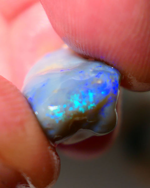 Lightning Ridge Knobby Opal Rough 11.50cts showing nice Bright blues & Greens 16x12x11mm A1508