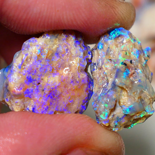 Lightning Ridge 26cts Very Bright pair of gorgeous Dark base Crystal Opalised fossil rough to cut/carve Vibrant Blue/purple/green 18x18x11mm & 2x12x9mm A1529