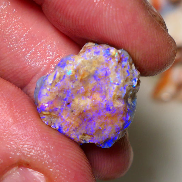 Lightning Ridge 26cts Very Bright pair of gorgeous Dark base Crystal Opalised fossil rough to cut/carve Vibrant Blue/purple/green 18x18x11mm & 2x12x9mm A1529