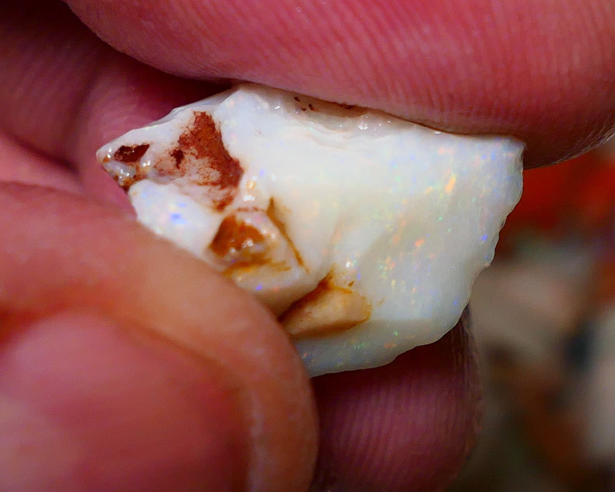 Coober Pedy Rough Opal 10cts White/Light Seam showing nice Yellow dominant multi colours 18x12x11mm A1532