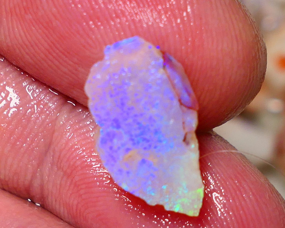 Coober Pedy Rough Opal 4.50cts Crystal Seam showing nice Bright  colours 16x9x6mm A1531