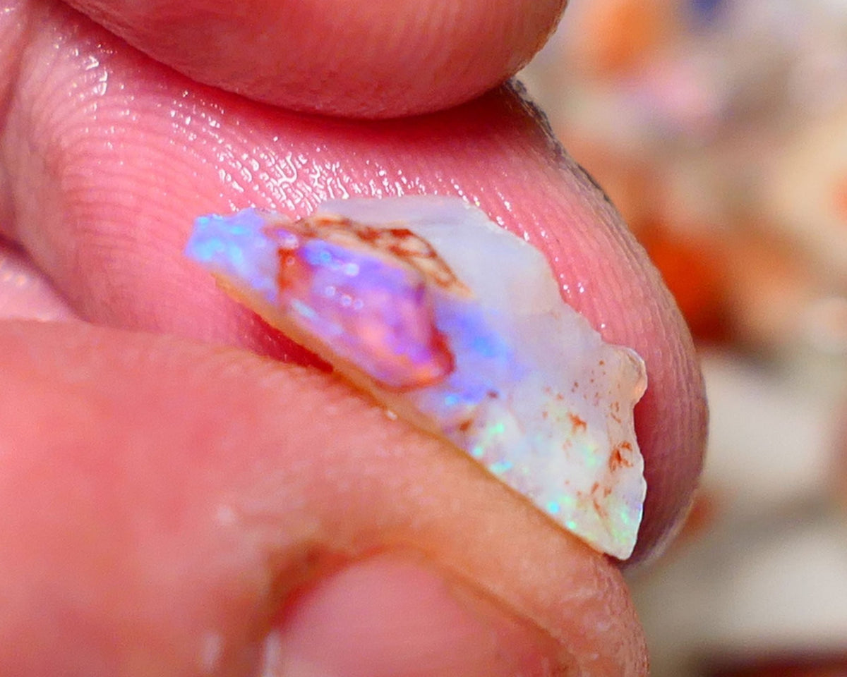 Coober Pedy Rough Opal 4.50cts Crystal Seam showing nice Bright  colours 16x9x6mm A1531