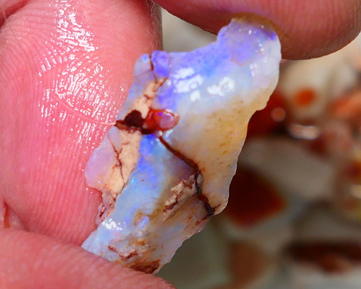 Coober Pedy Rough Opal 8.20cts Crystal Seam showing nice Bright  colours 29x14x5mm A1522