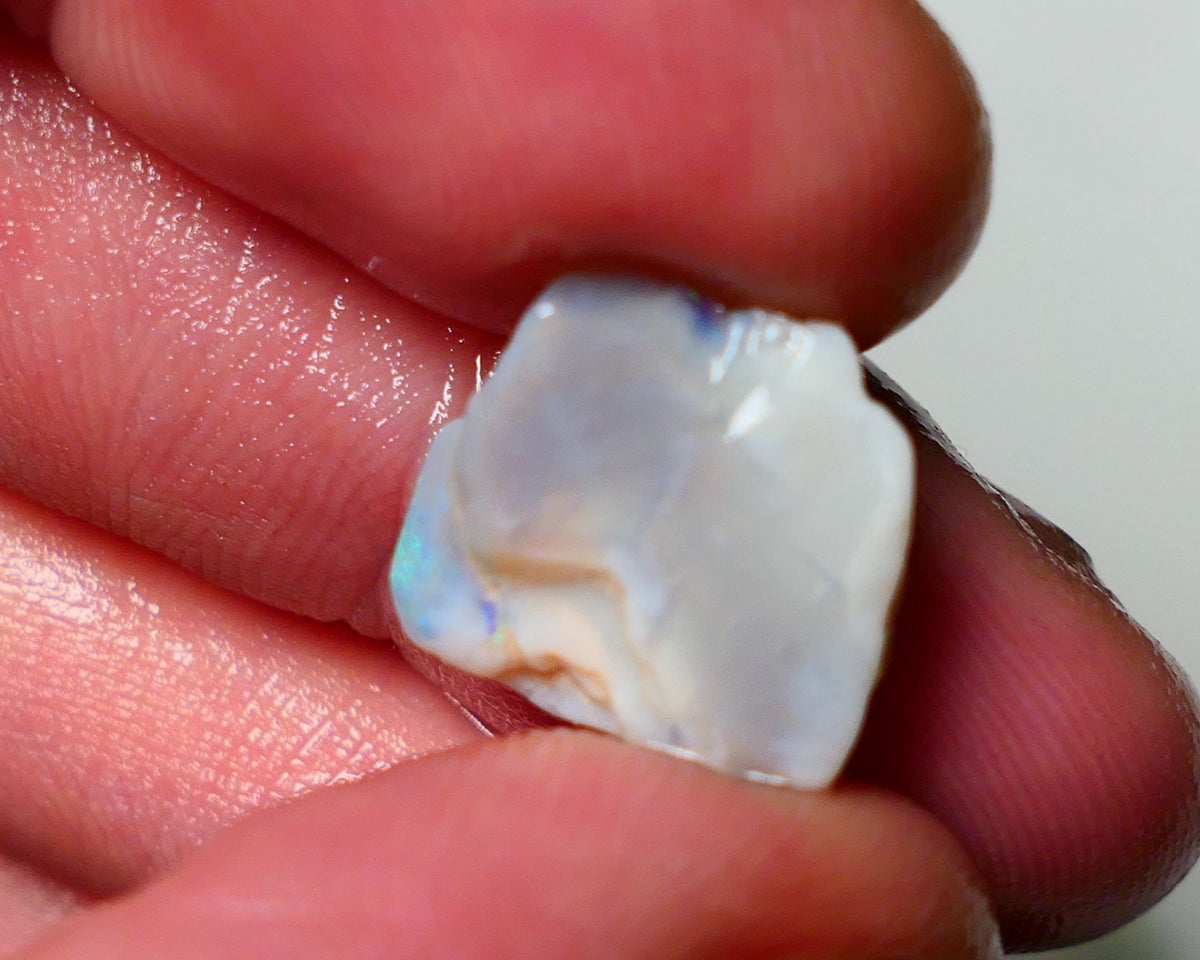 Lightning Ridge Rough Opal 5.75cts Dark Base Crystal Knobby showing Nice bright colours 14x12x7mm A1542