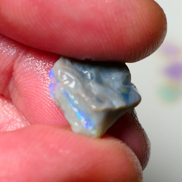 Lightning Ridge Rough Opal 4.50cts Dark Base Knobby showing Nice bright Blue/Green colours 14x13x5mm A1546