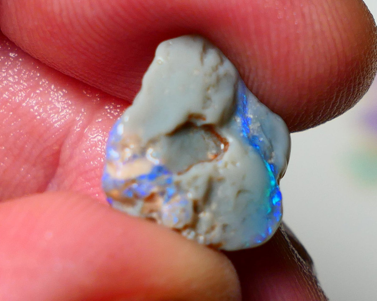 Lightning Ridge Rough Opal 4.50cts Dark Base Knobby showing Nice bright Blue/Green colours 14x13x5mm A1546