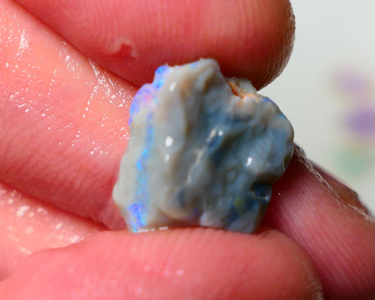 Lightning Ridge Rough Opal 4.50cts Dark Base Knobby showing Nice bright Blue/Green colours 14x13x5mm A1546