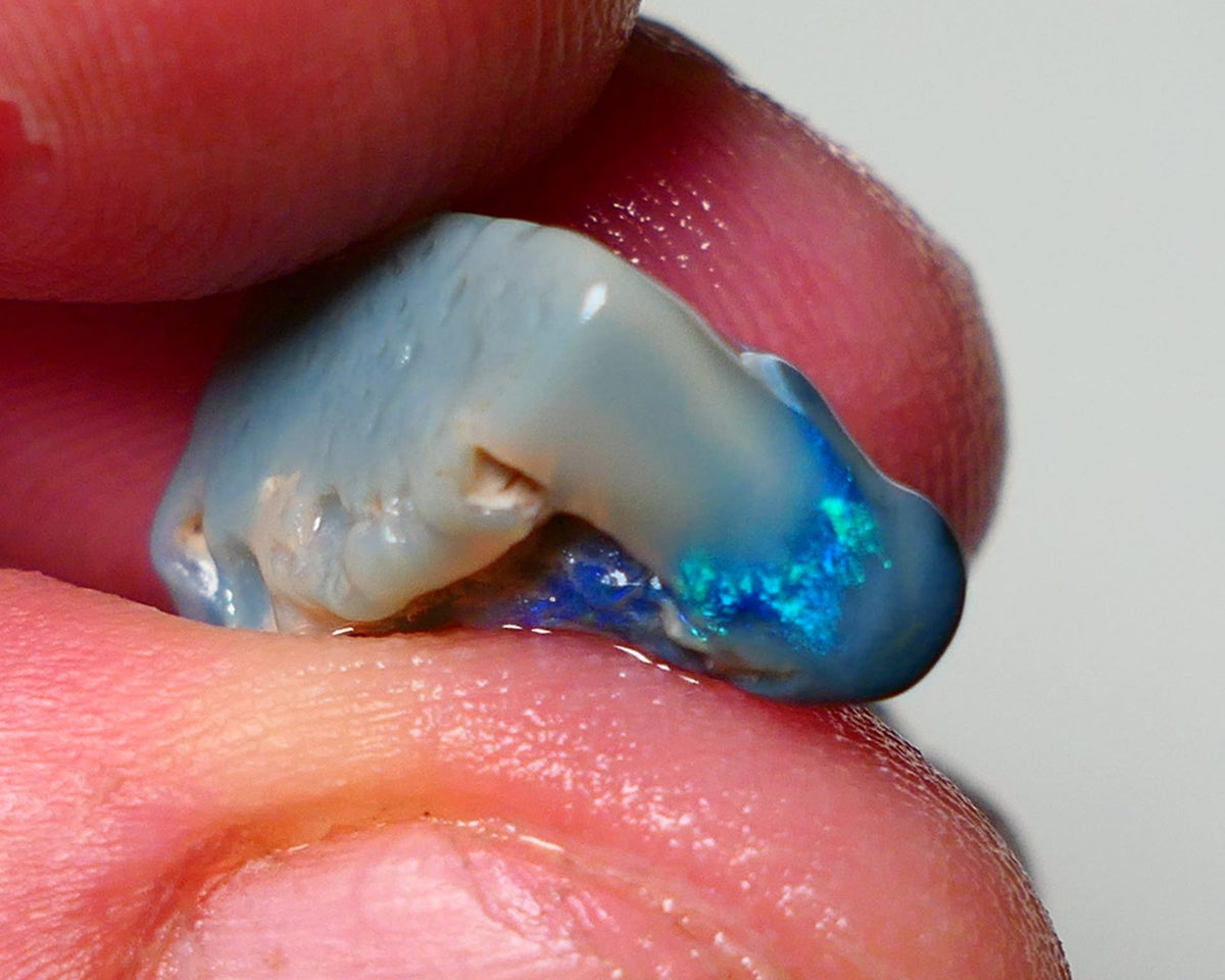 Lightning Ridge Rough Opal 4.25cts Dark Base Seam showing Gemmy bright Blue/Green 18x10x8mm A1547