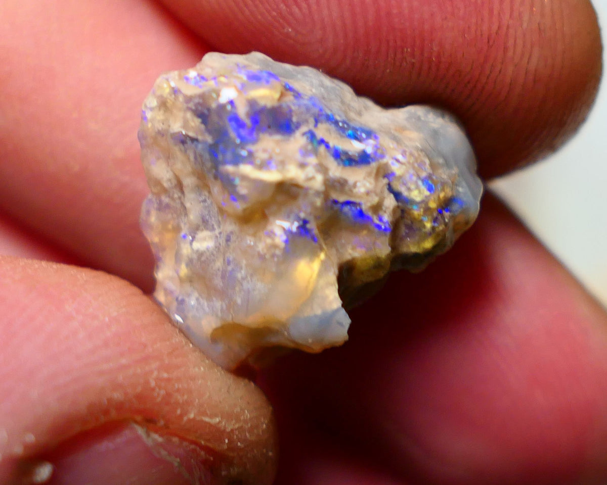 Lightning Ridge Rough Opal 9.75cts Dark Base Gamble Knobby formation showing blue fires 18x17x8mm Auction NS024