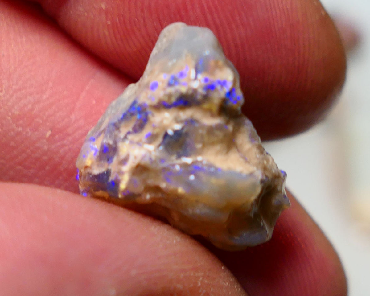 Lightning Ridge Rough Opal 9.75cts Dark Base Gamble Knobby formation showing blue fires 18x17x8mm Auction NS024