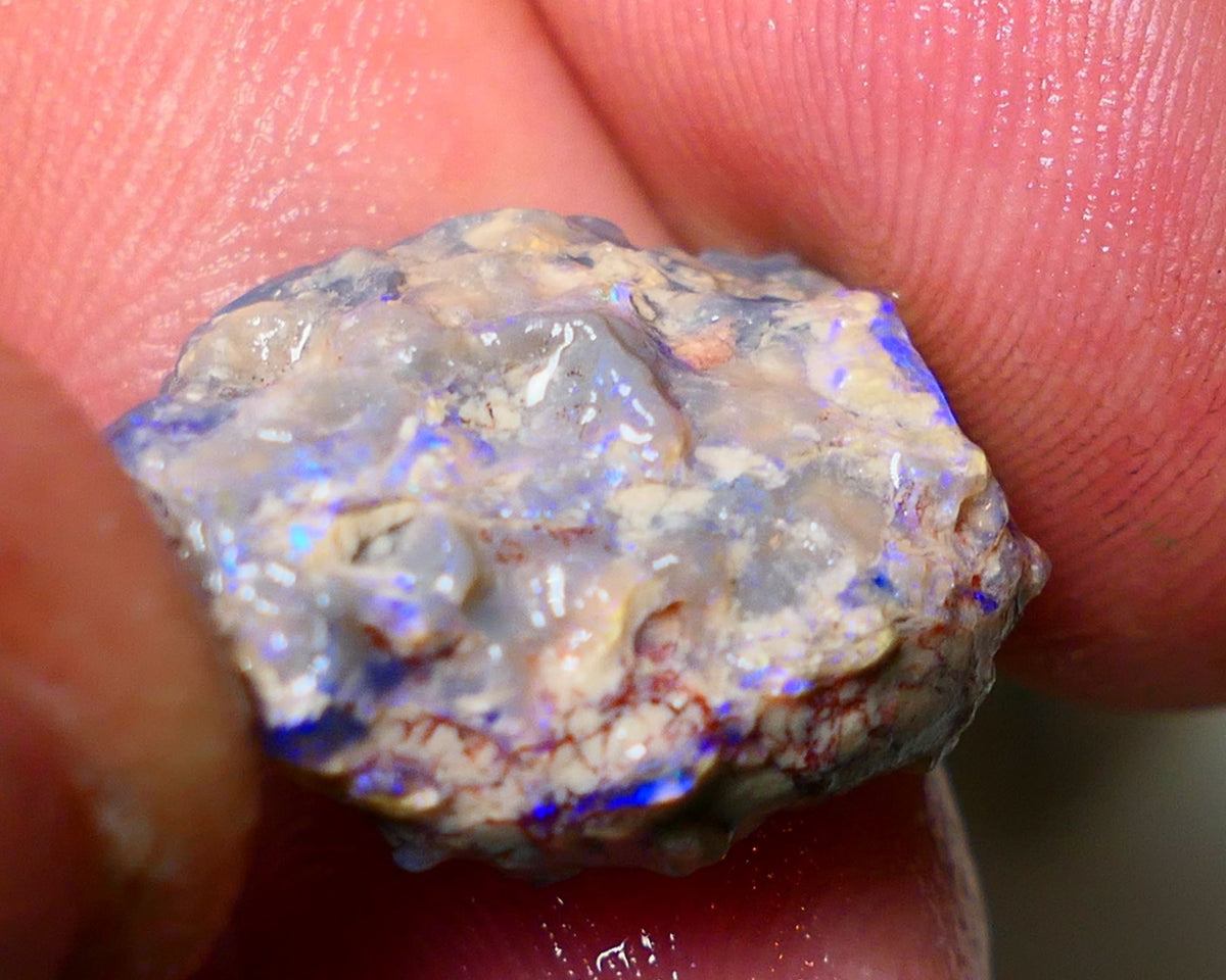 Lightning Ridge Rough Opal 13cts Dark Base Gamble Knobby Some nice blue fires 21x15x7mm Auction NS003