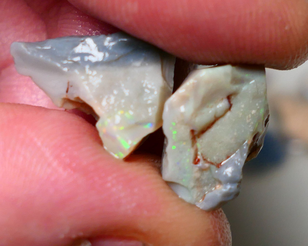 Lightning Ridge Rough Opal pair 14cts Gamble Dark Base Seam some Multifires showing 17x13x9mm & 17x15x5mm  Auction NS006