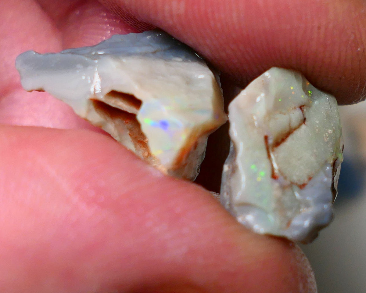 Lightning Ridge Rough Opal pair 14cts Gamble Dark Base Seam some Multifires showing 17x13x9mm & 17x15x5mm NS006