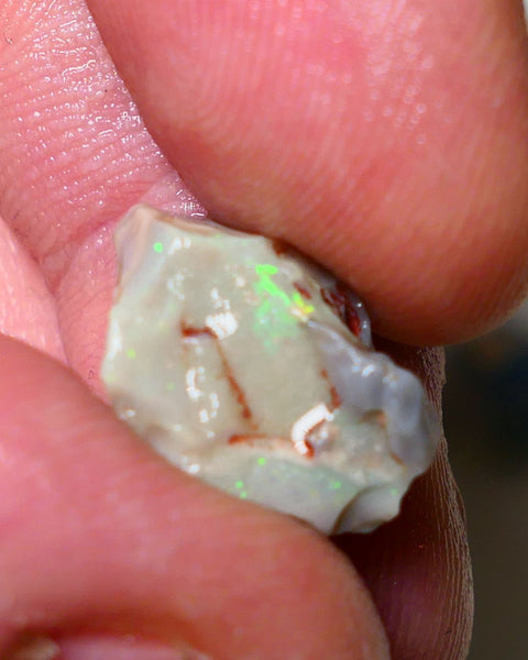 Lightning Ridge Rough Opal pair 14cts Gamble Dark Base Seam some Multifires showing 17x13x9mm & 17x15x5mm  Auction NS006