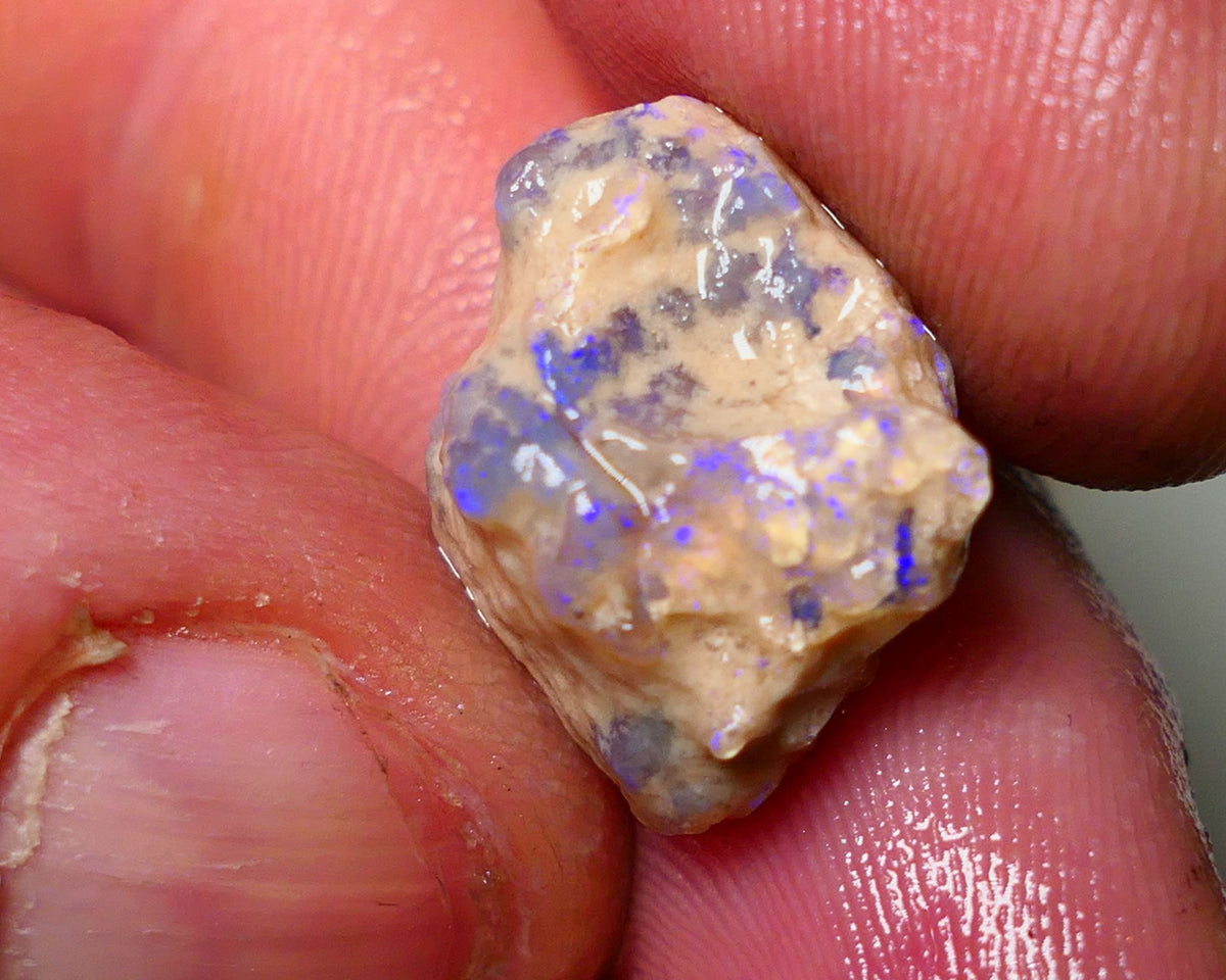 Lightning Ridge Rough Opal 11cts Crystal Base Gamble Knobby formation some  blue fires 18x16x10mm Auction NS013