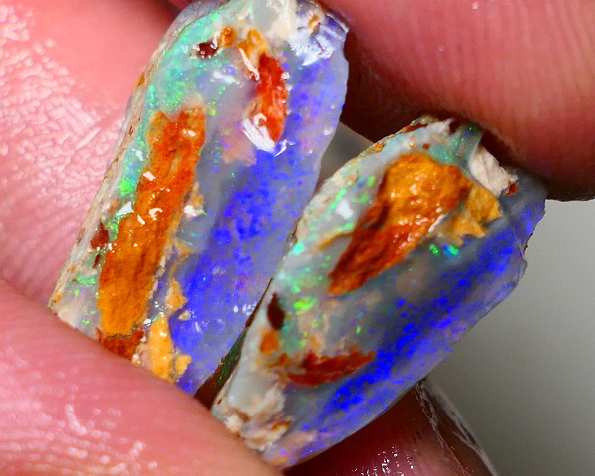 Lightning Ridge 18cts Bright & gorgeous Dark base Crystal Knobby/Opalised fossil Split rough to cut/carve Vibrant Blues and Multicolours 22x13x7mm & 18x10x9mm NSW001