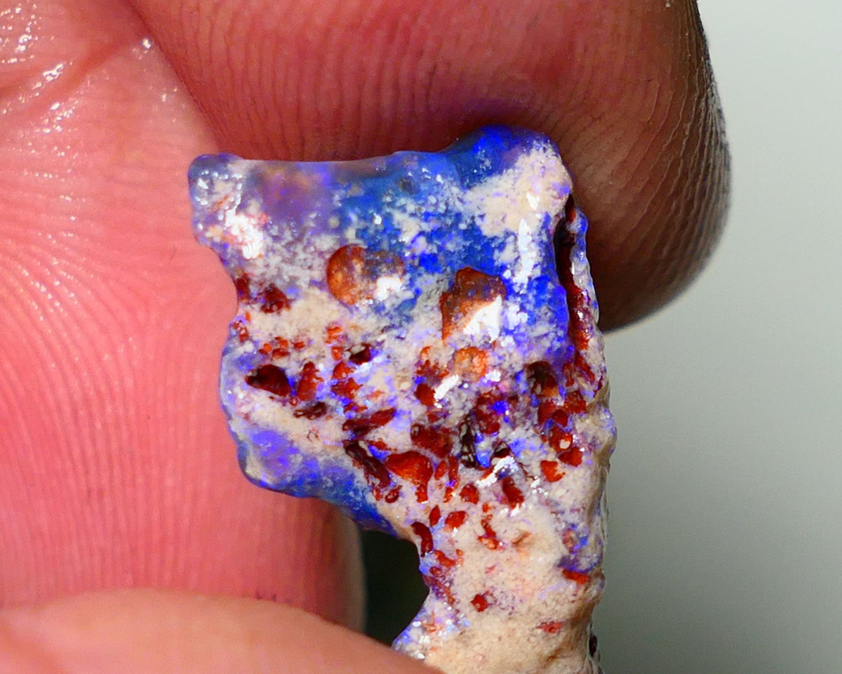 Lightning Ridge Rough Opal 5.5cts Dark Base Seam Gorgeous Vibrant bright blues colours 20x11x5mm NS055