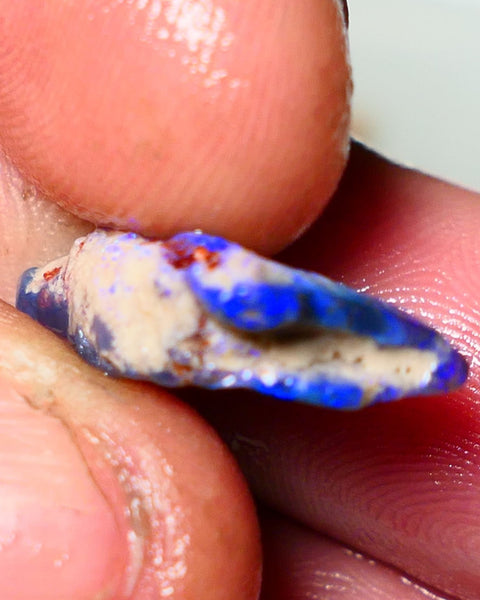 Lightning Ridge Rough Opal 5.5cts Dark Base Seam Gorgeous Vibrant bright blues colours 20x11x5mm NS055