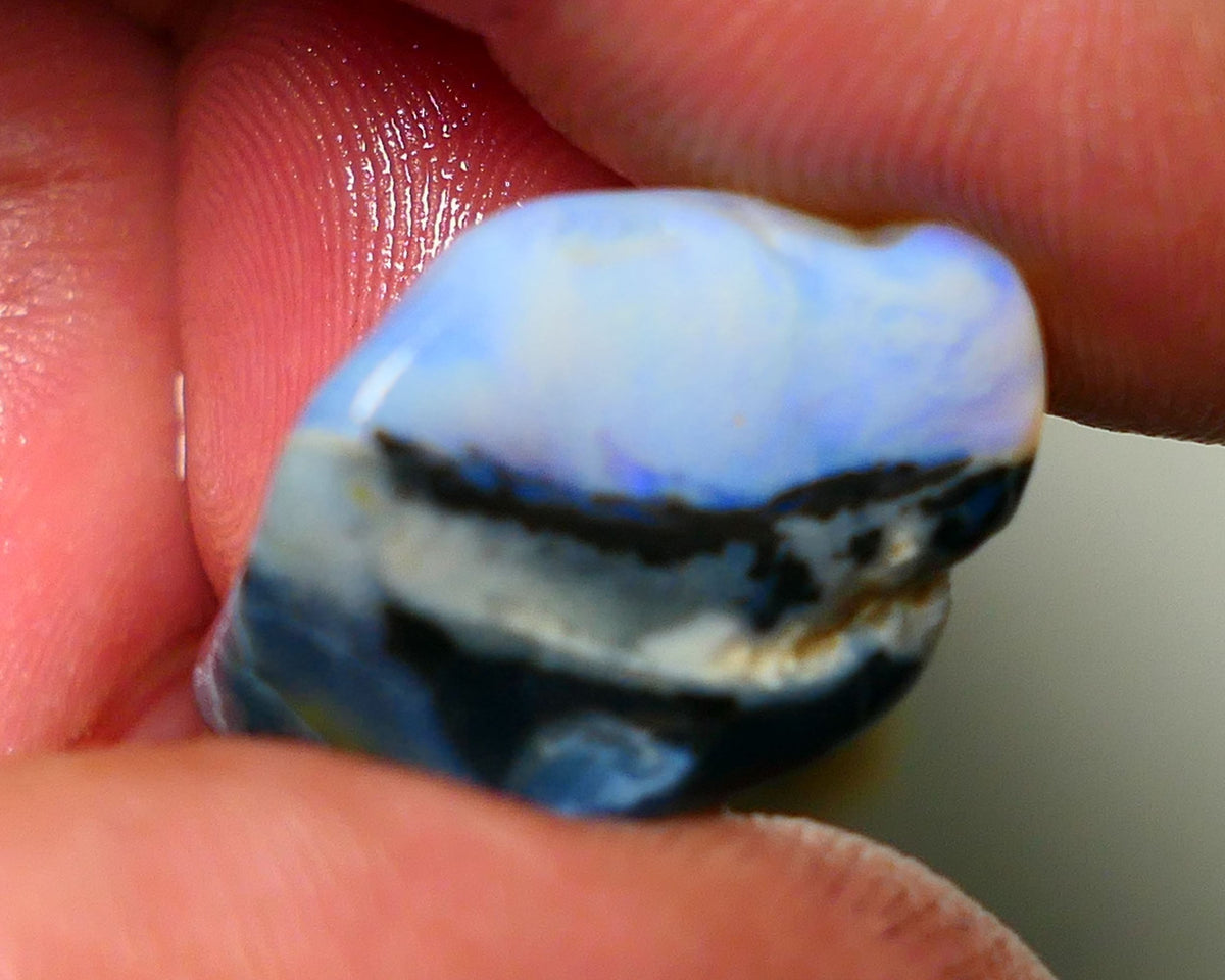 Lightning Ridge Rough Opal 27cts Lots blues in crystal sat on Black base Gamble Seam Chunk 24x18x15mm NS054