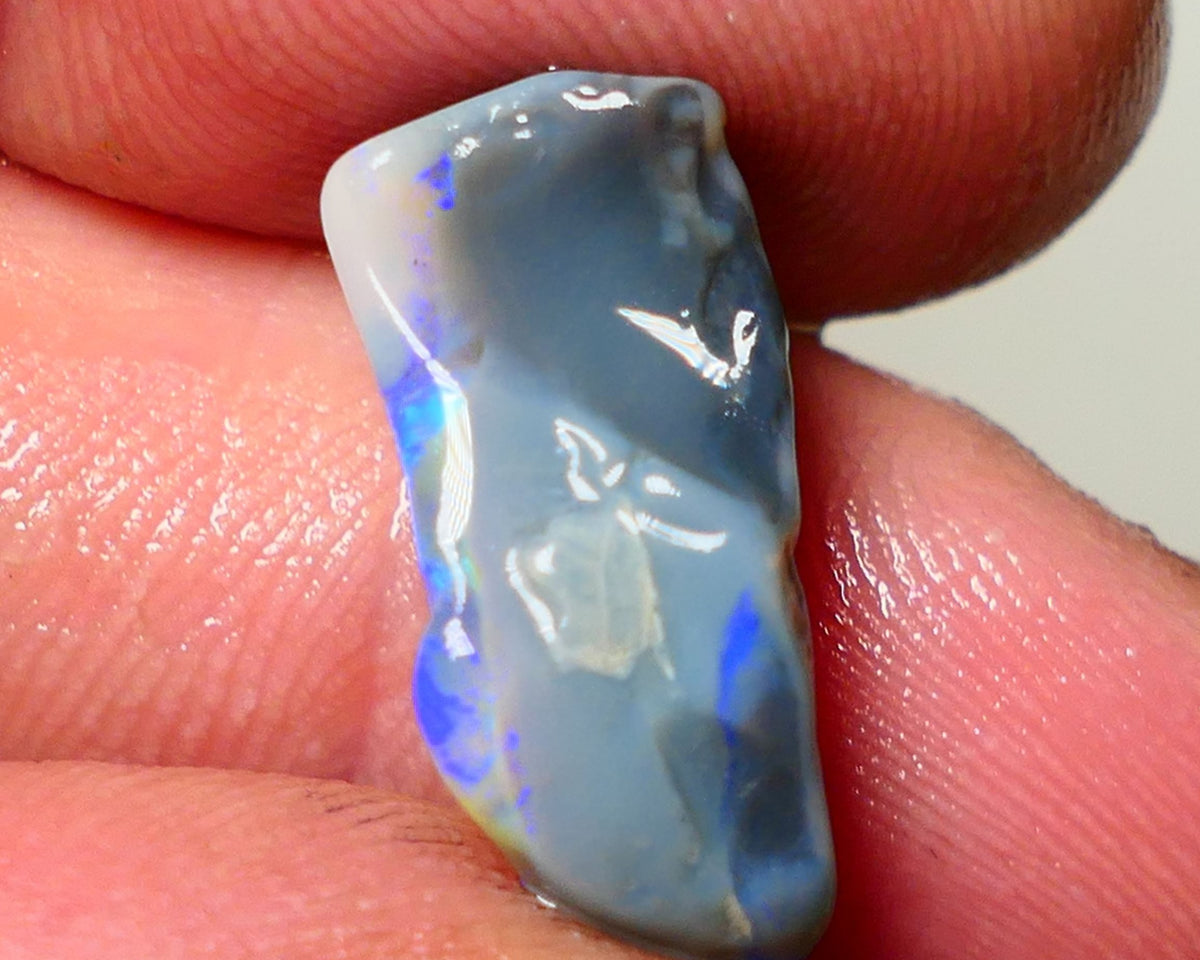 Lightning Ridge Rough Opal 7cts Dark Base Seam showing Nice bright blues colours 19x9x7mm NS050