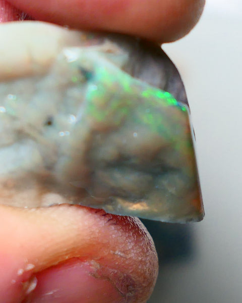 Lightning Ridge Rough Opal 32cts Big sized Yellow/Green on Dark Seam Gamble 31x20x11mm NS049