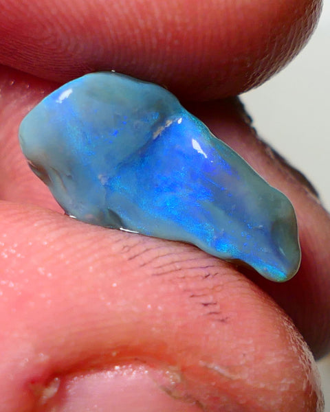 Lightning Ridge Rough Opal 5.75cts Dark Base Seam showing Nice bright blues colours 18x8x7mm NS047