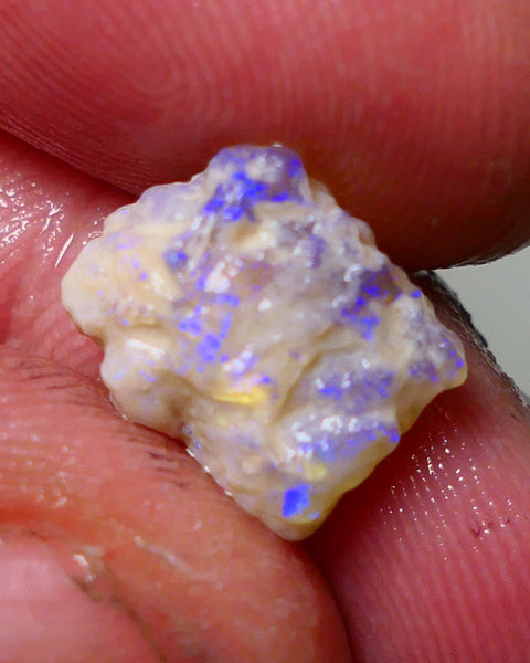 Lightning Ridge Rough Opal 4.75cts Dark Crystal Base Gamble Knobby formation showing blue fires 12x10x7mm Auction NS045