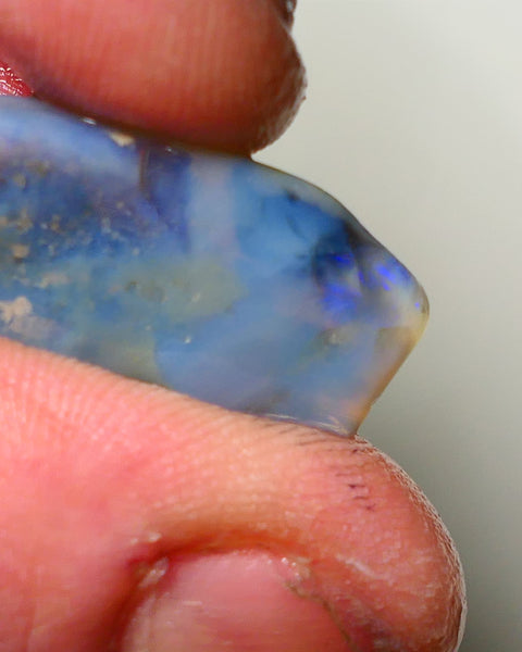 Lightning Ridge Rough Opal 13cts Bit of blue on Dark Gamble Seam 26x12x6mm NS044